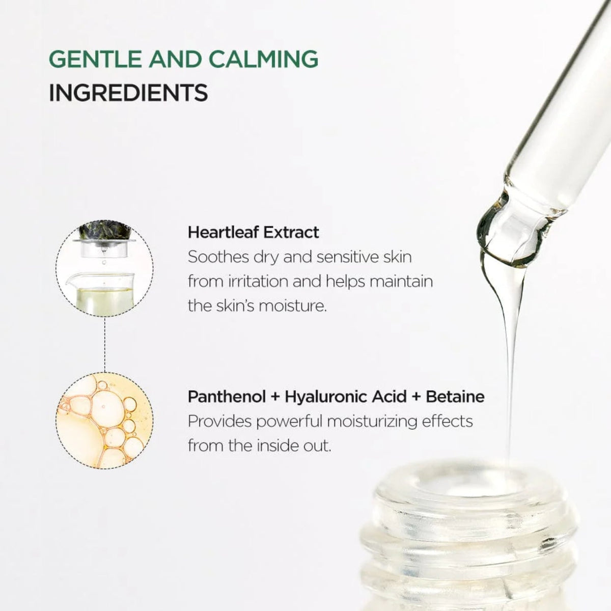 Anua Heartleaf 80% Soothing Ampoule 30ML SkinShop