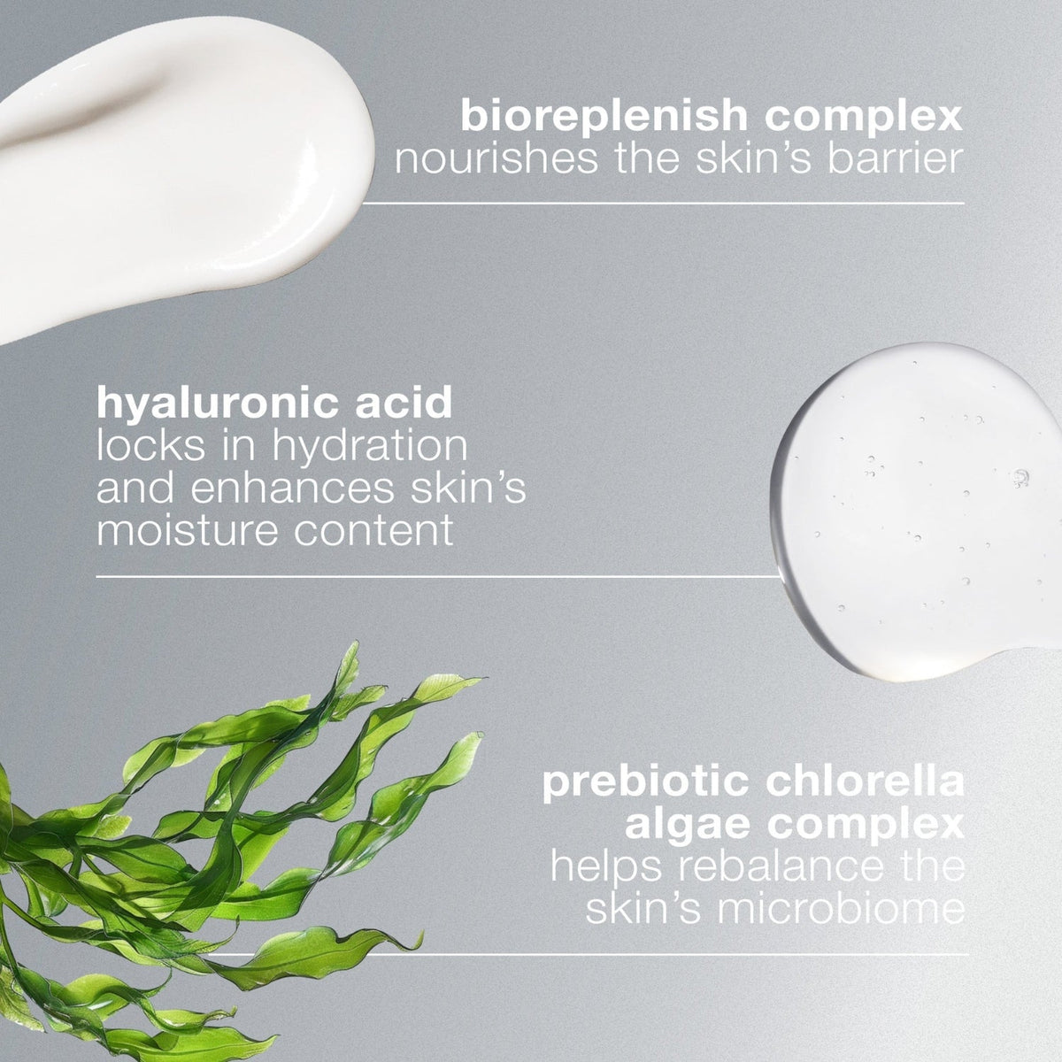 DermalogicaDermalogica Intensive Moisture Balance 100mlSkinShop