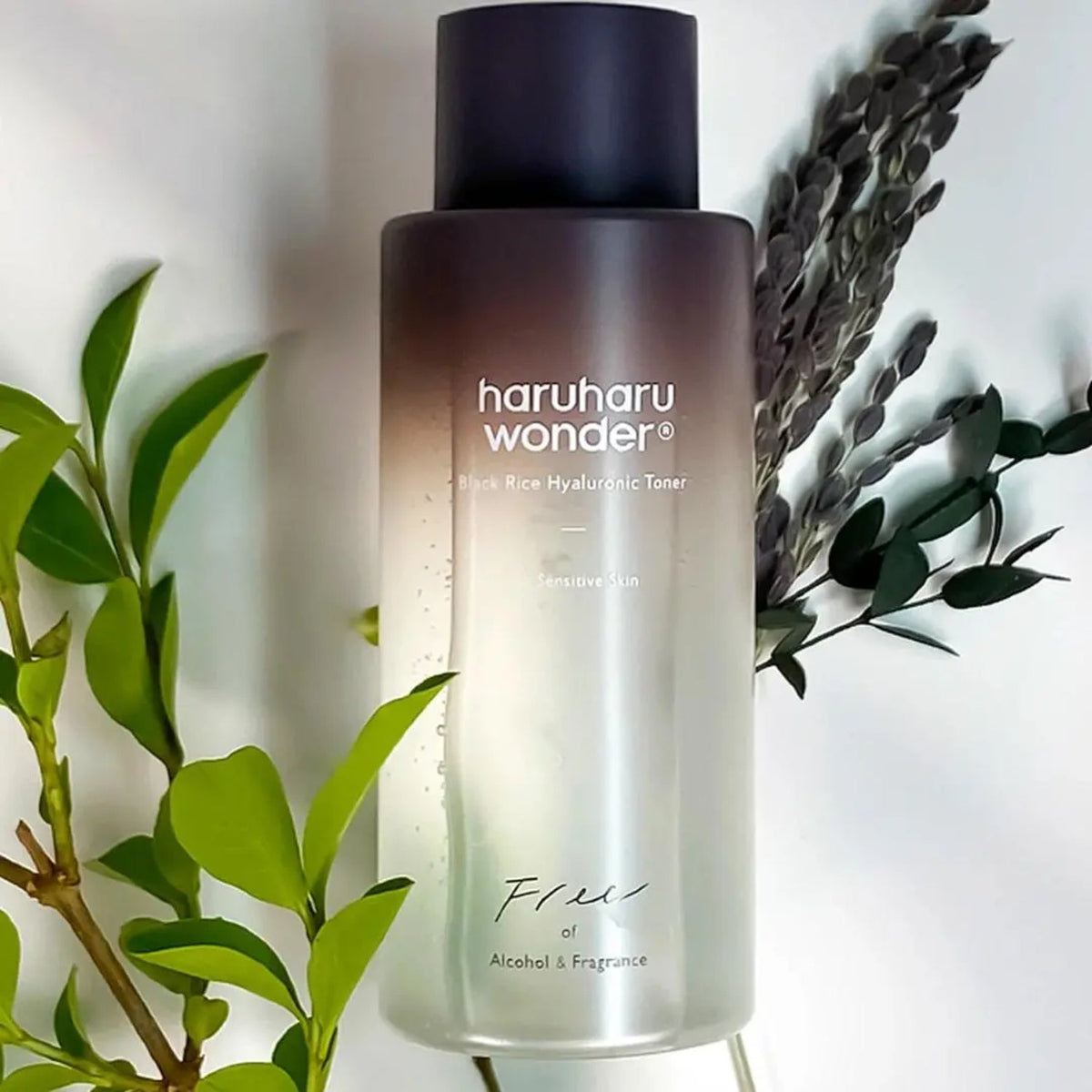 Haruharu Wonder Black Rice Hyaluronic Toner 300ML SkinShop