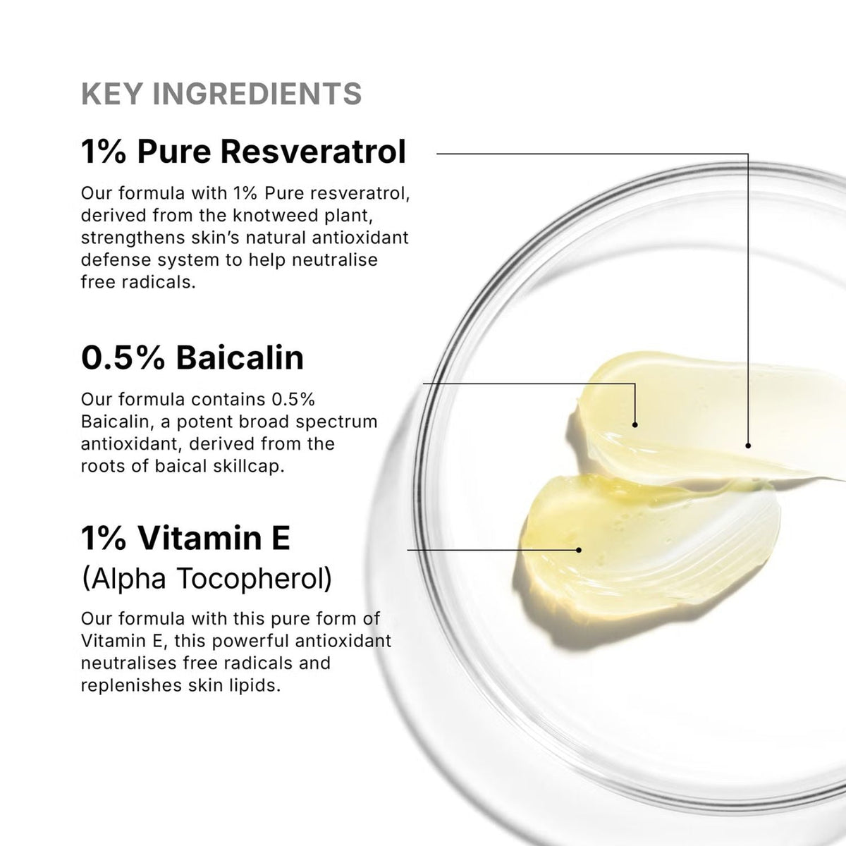SkinCeuticalsSkinCeuticals Resveratrol B E 30mlSkinShop