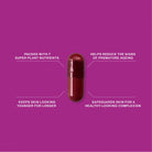 Advanced Nutrition Programme Skin Antioxidant 60 caps SkinShop