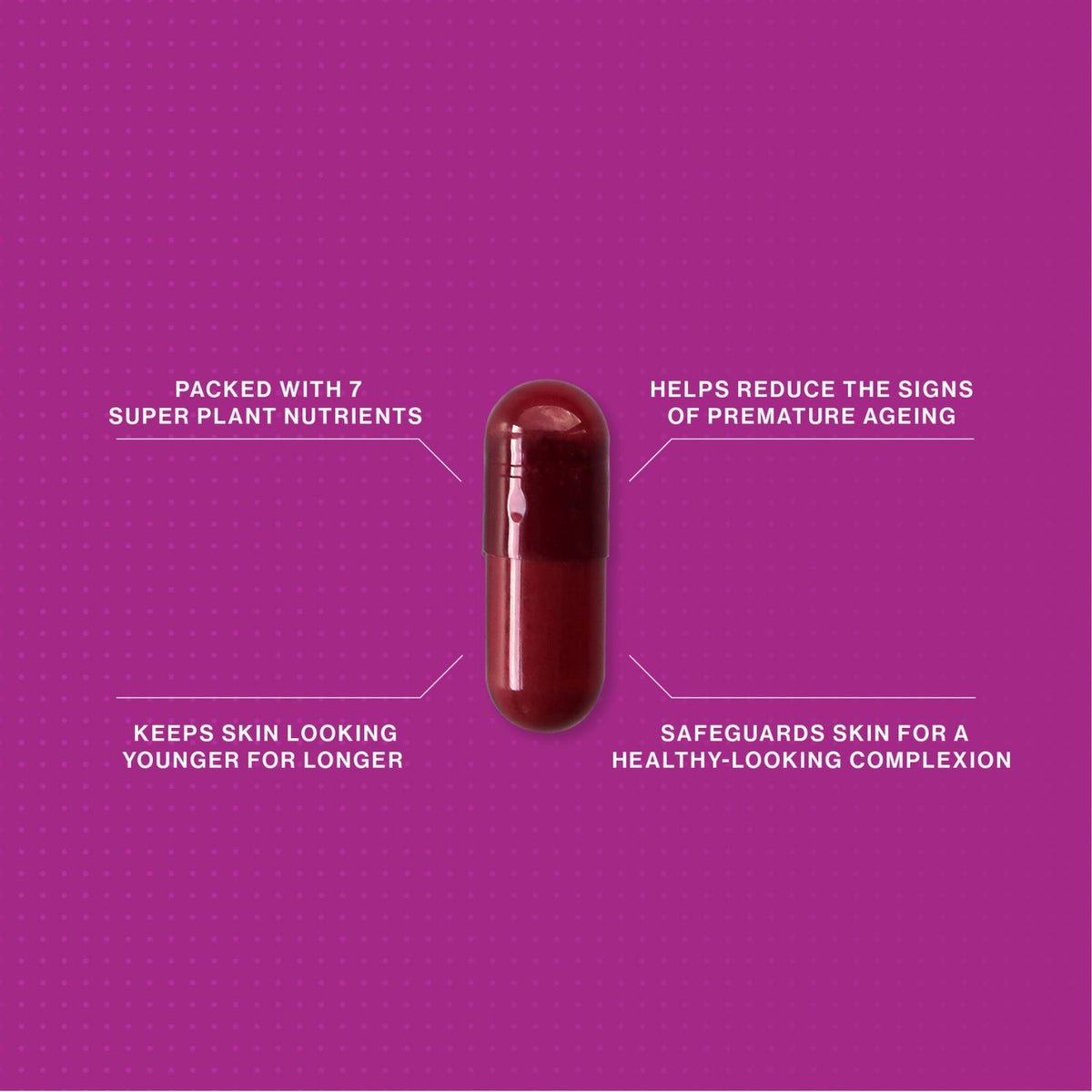 Advanced Nutrition Programme Skin Antioxidant 60 caps SkinShop