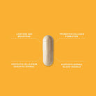Advanced Nutrition ProgrammeAdvanced Nutrition Programme Skin Vit C 60 capsSkinShop