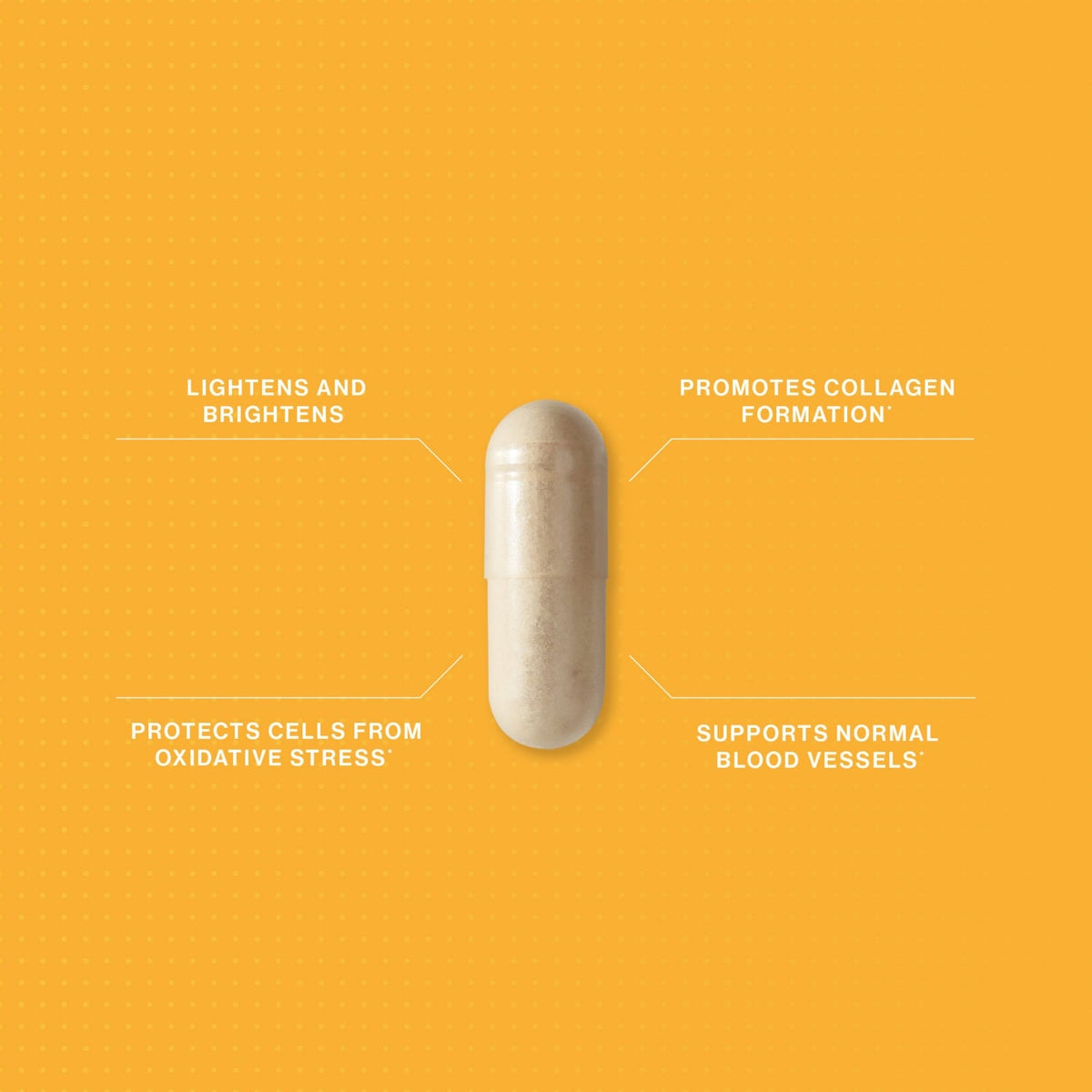 Advanced Nutrition ProgrammeAdvanced Nutrition Programme Skin Vit C 60 capsSkinShop