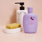 Alfaparf Semi Di Lino Smooth Shampoo 250ml SkinShop
