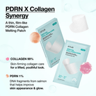 Anua PDRN Collagen Melting Patch for Neck (4EA) SkinShop