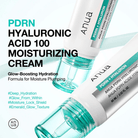 AnuaAnua PDRN Hyaluronic Acid 100 Moisture Cream 60mlSkinShop