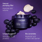 CaudalieCaudalie Premier Cru The Rich Cream 50ml RefillSkinShop