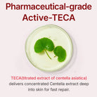 Centellian24Centellian24 Madeca Cream Time Reverse 50mlSkinShop