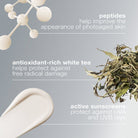 DermalogicaDermalogica Dynamic Skin Recovery SPF50 50mlSkinShop