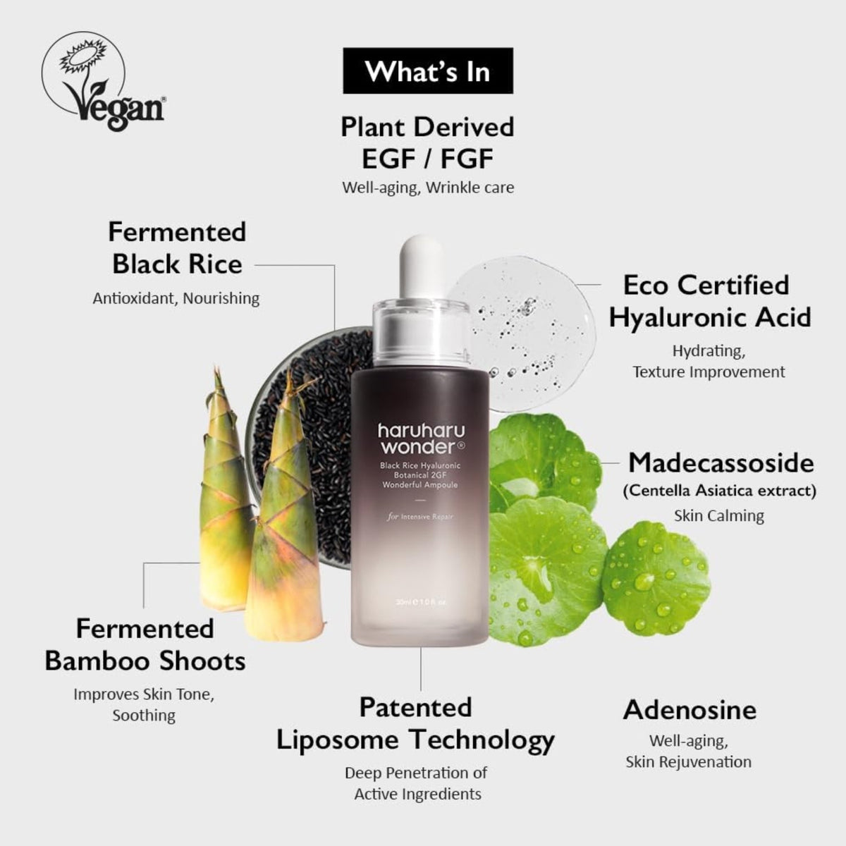 Haruharu Wonder Black Rice Hyaluronic Botanical 2GF Wonderful Ampoule 30ML SkinShop
