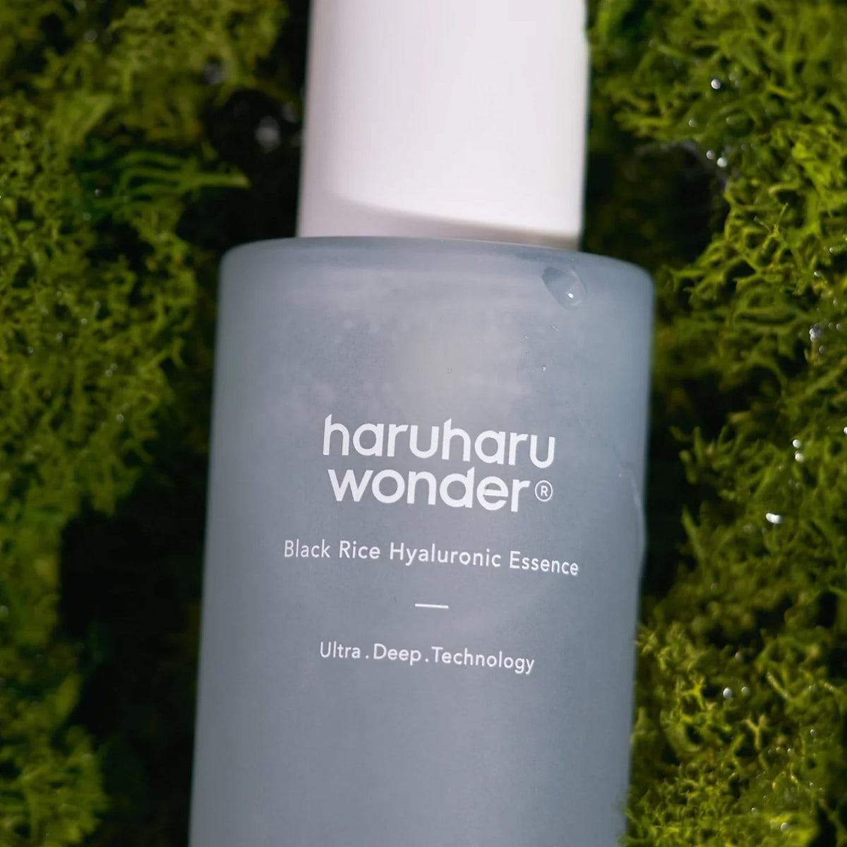 Haruharu WonderHaruharu Wonder Black Rice Hyaluronic Essence 50MLSkinShop