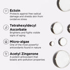 Image Skincare Image Skincare | Daily Prevention Protect & Refresh Mist SPF30 100ml - SkinShop