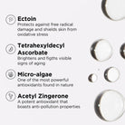 Image SkincareImage Skincare Daily Prevention Trial KitSkinShop