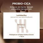 SKIN1004SKIN1004 Madagascar Centella Probio-Cica Intensive Ampoule 95mlSkinShop