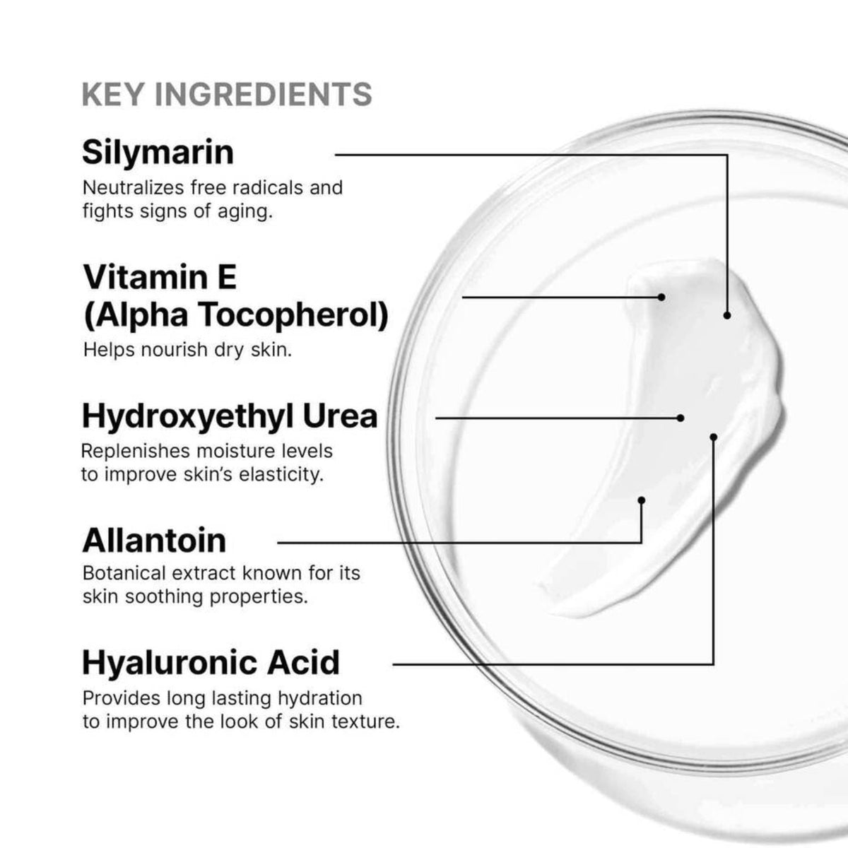 SkinCeuticalsSkinCeuticals Antioxidant Lip Complex 10mlSkinShop