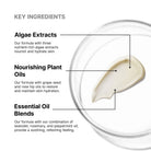 SkinCeuticalsSkinCeuticals Emollience 60mlSkinShop