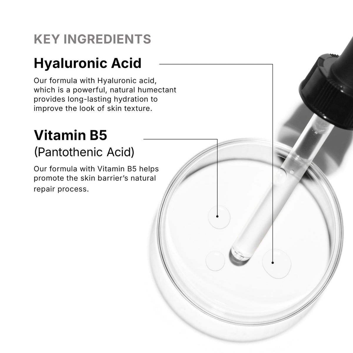 SkinCeuticalsSkinCeuticals Hydrating B5 Gel 30mlSkinShop