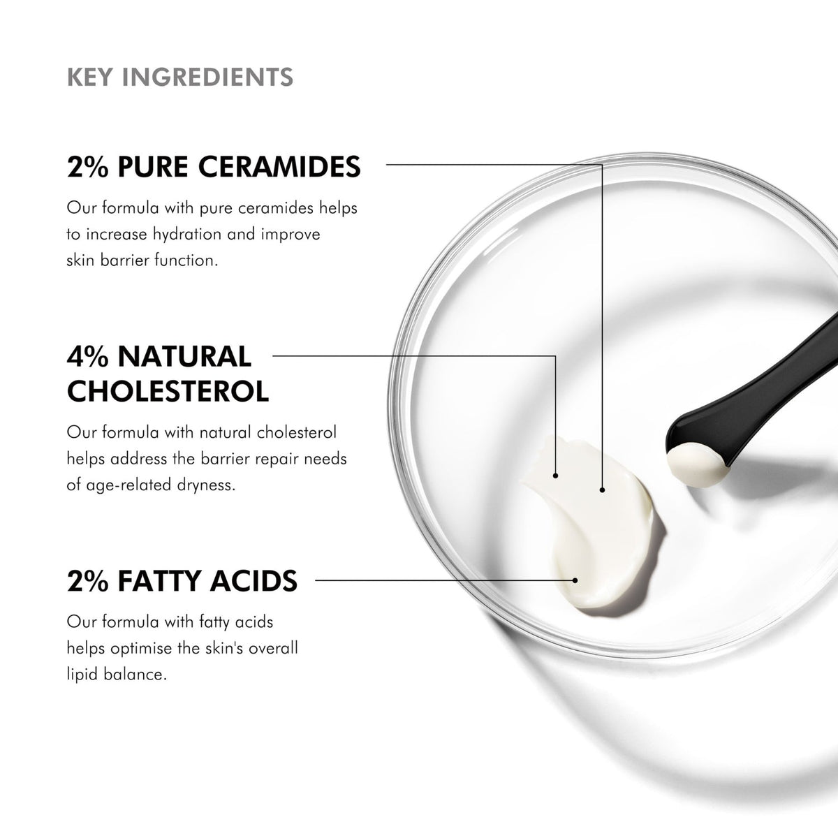 SkinCeuticalsSkinCeuticals Triple Lipid Restore 2:4:2 48mlSkinShop